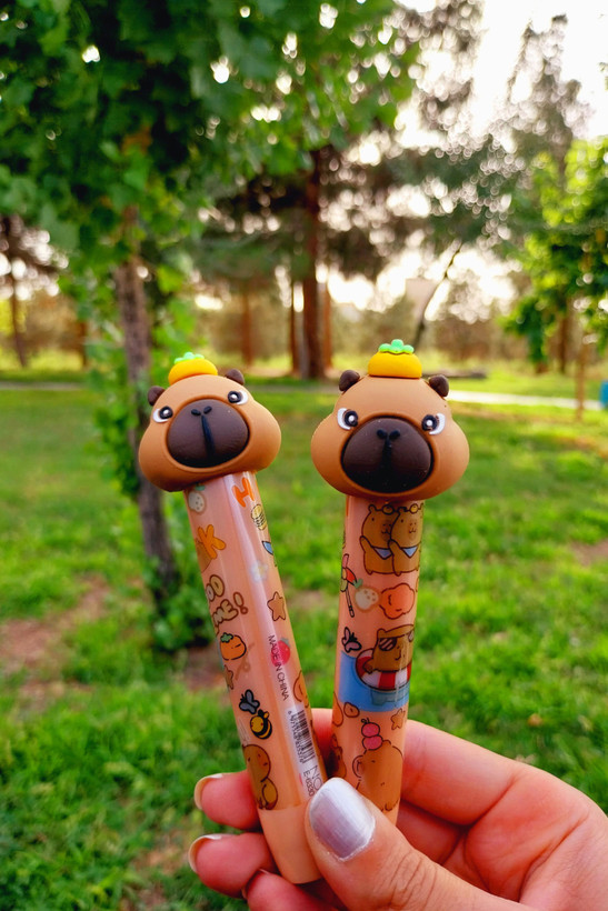 پاکن اتودی کاپی بارا قهوه ای