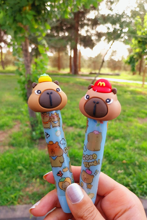 پاکن اتودی کاپی بارا آبی