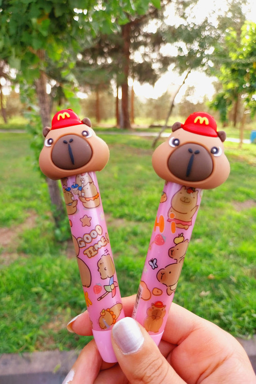 پاکن اتودی کاپی بارا صورتی